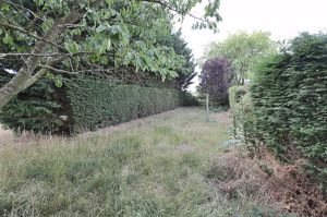 Rear Garden- click for photo gallery